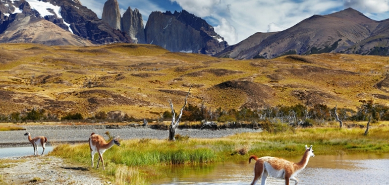 Travel to Chile: A Land of Earth, Fire and Ice