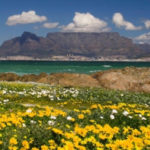 Cape Town’s Best Beaches