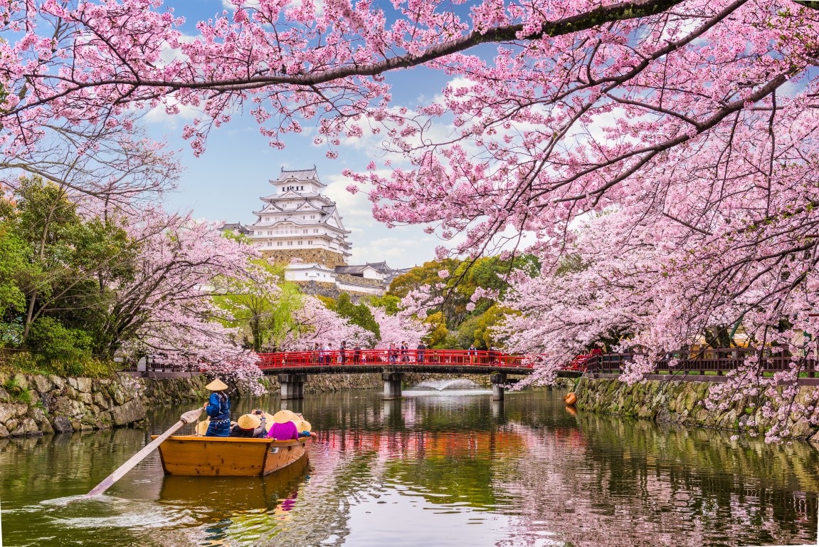 Planning to Visit Japan? This is the Best Time to Visit!