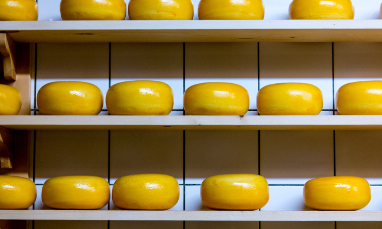 best cheese destinations
