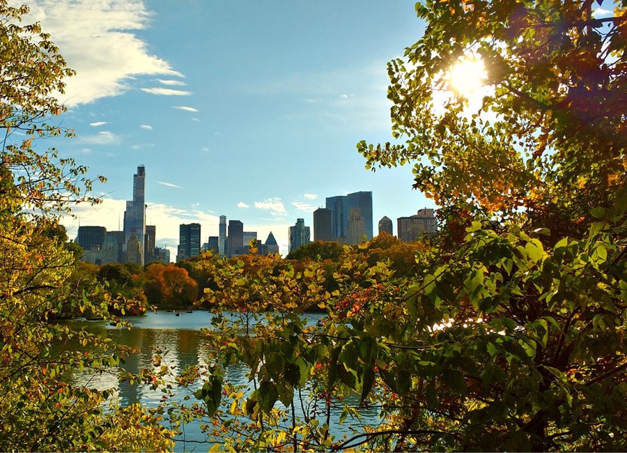 New York City, Best Places to Spend Thanksgiving