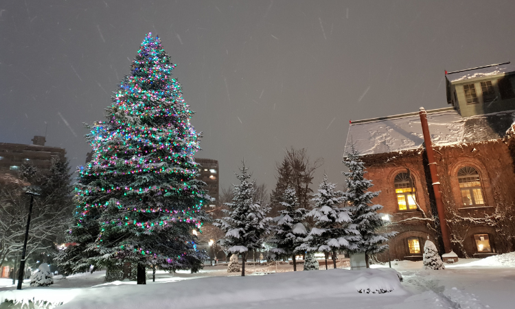 best winter travel destinations