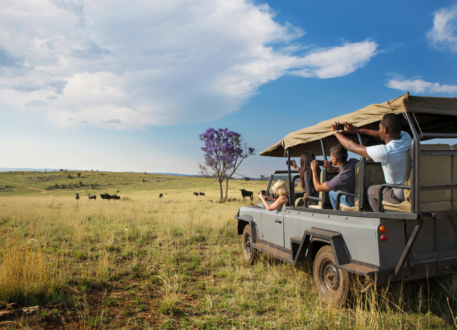 The Best Time for an African Safari