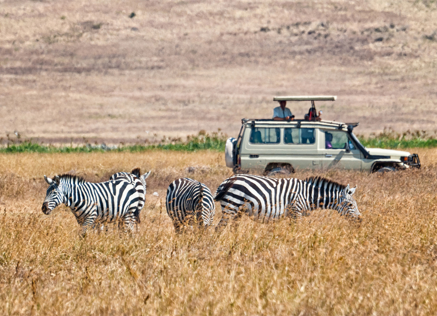 10 Types of Safaris in Africa: Different Ways to Experience a Safari