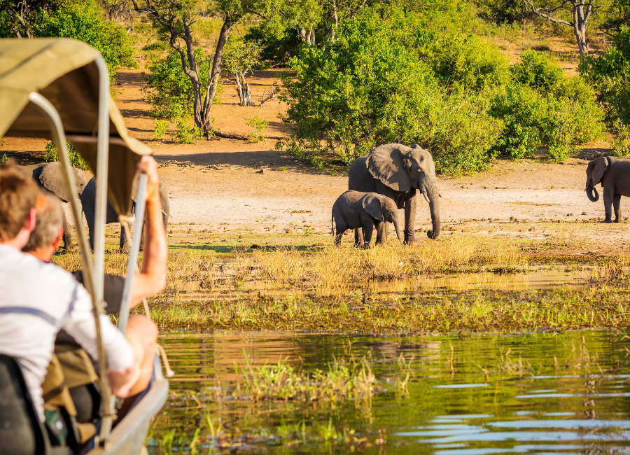 How To Book an African Safari