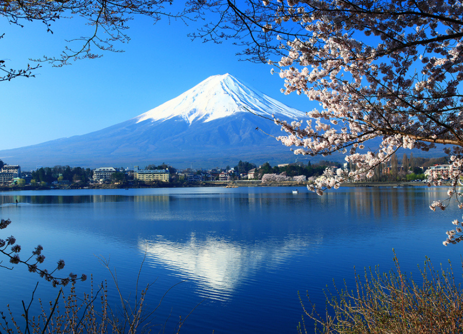 6 Less Touristy Things to Do in Japan