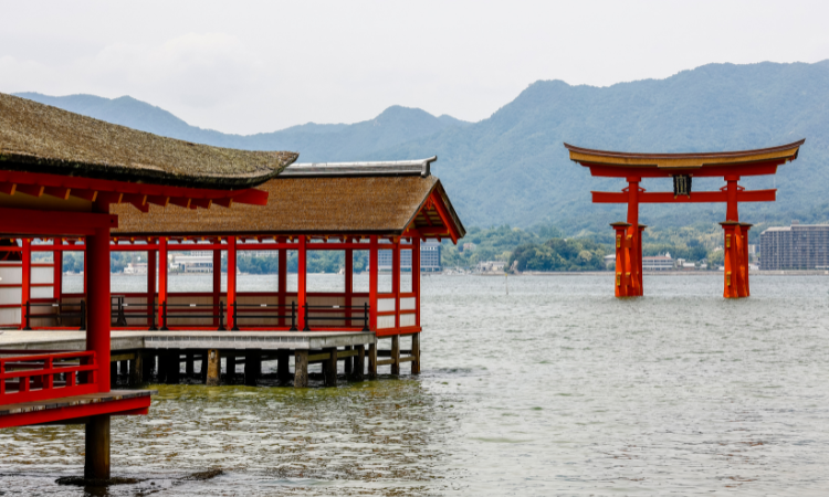 things to do in japan