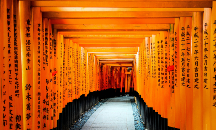 things to do in japan