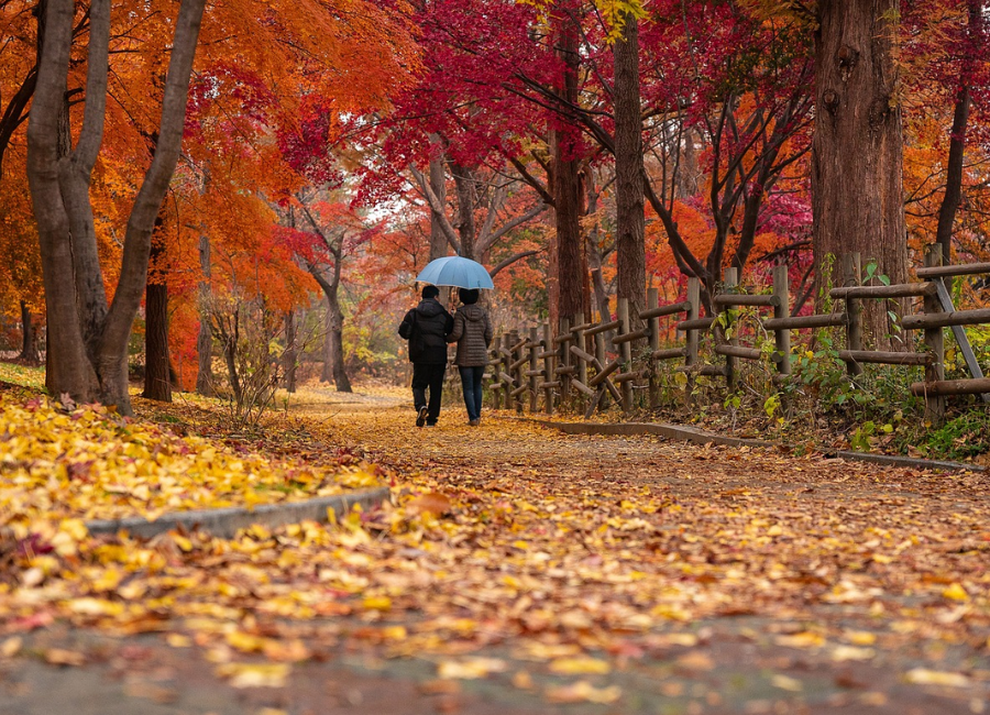 Autumn Destinations to Experience the Best Fall in the World