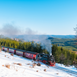 Tour Germany by Train: Unforgettable Rail Journeys