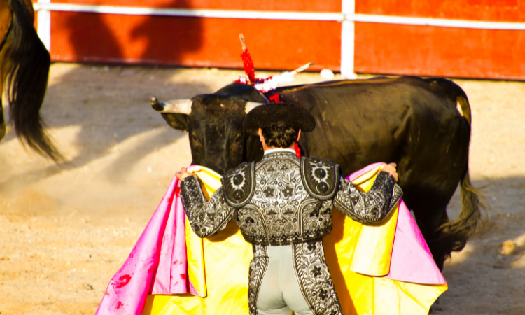 bullfighting in madrid