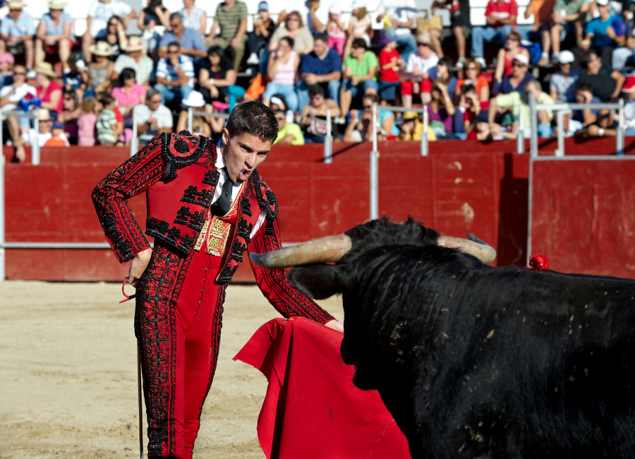 Bullfighting in Madrid: An Insider’s Guide to Spain’s Traditional Spectacle