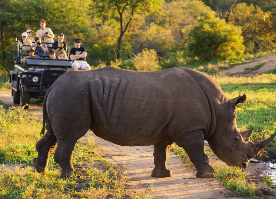 South Africa Adventures with Indus Travels
