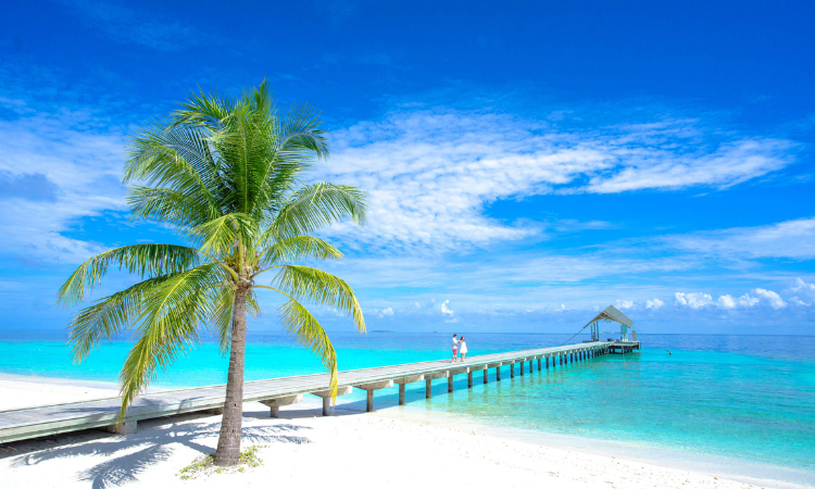 Discover the Top 20 Fiji Beaches