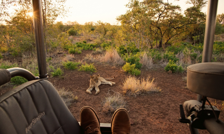 kruger national park tours