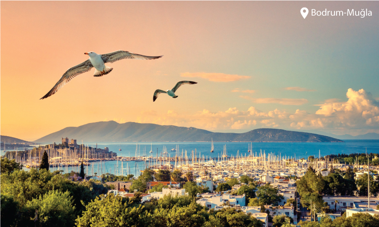 reasons to visit turkey