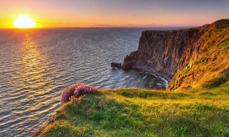 cliffs of moher tour