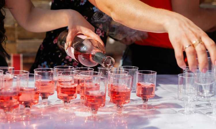 Douro River Wine Cruise