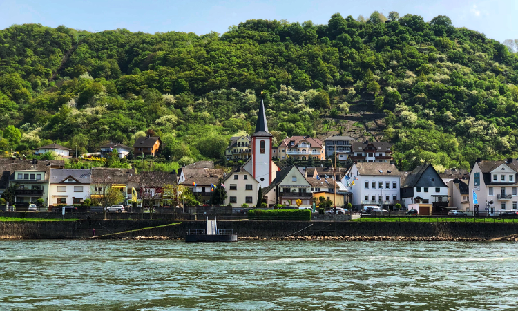 rhine vs danube river cruise