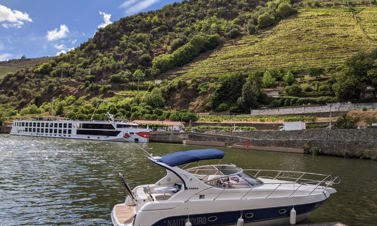Douro River Wine Cruise
