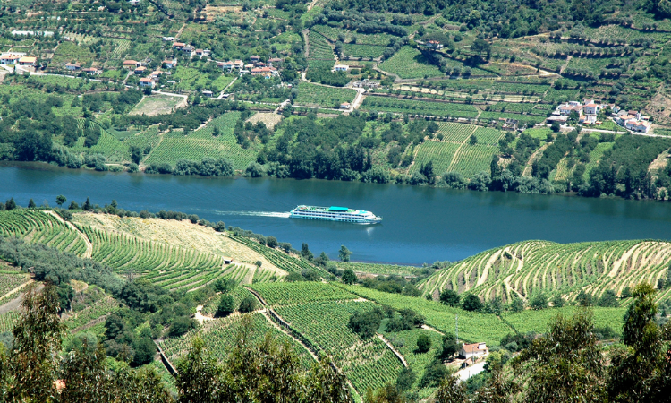 Douro River Wine Cruise