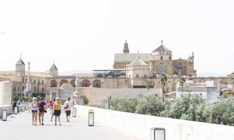 things to do in cordoba spain