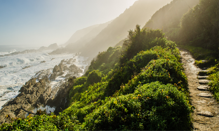 tsitsikamma national park