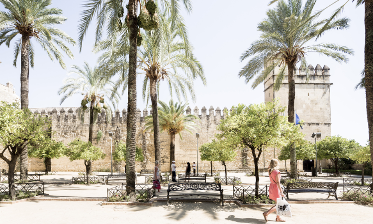 things to do in cordoba spain