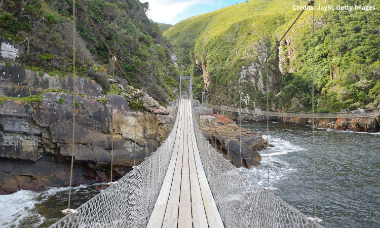 Tsitsikamma National Park | South Africa – Travel Guide