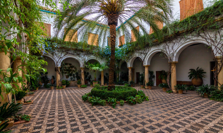 things to do in cordoba spain
