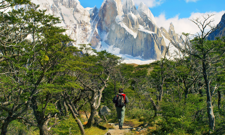el calafate things to do