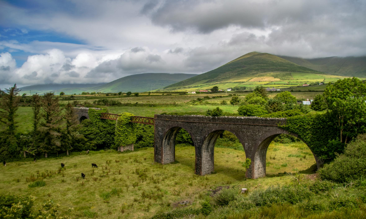 ring of kerry tour