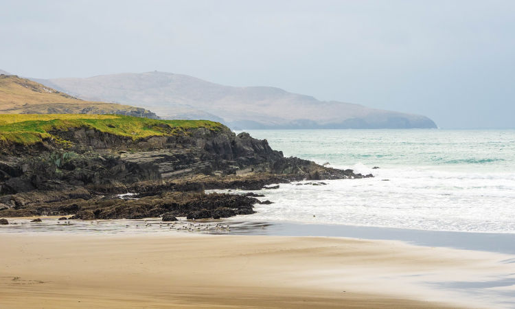 ring of kerry tour