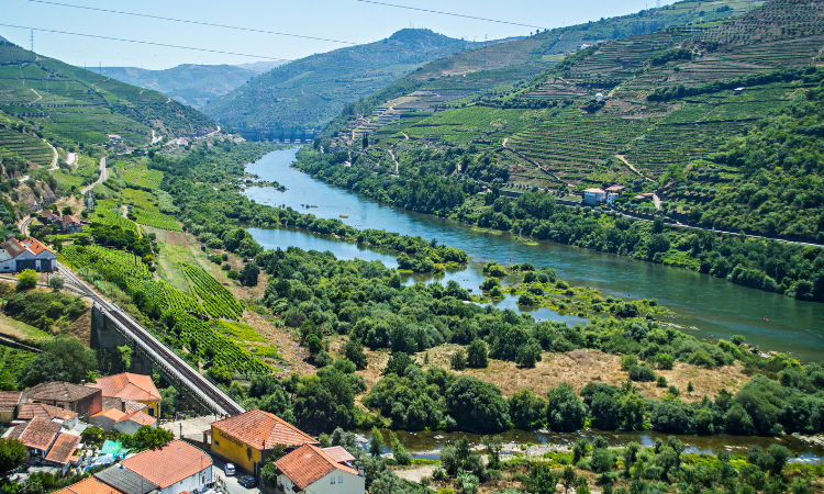 douro river cruise