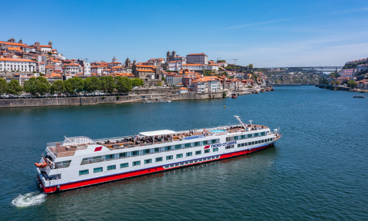 Once-in-a-Lifetime Experience: Majestic Douro Cruise  