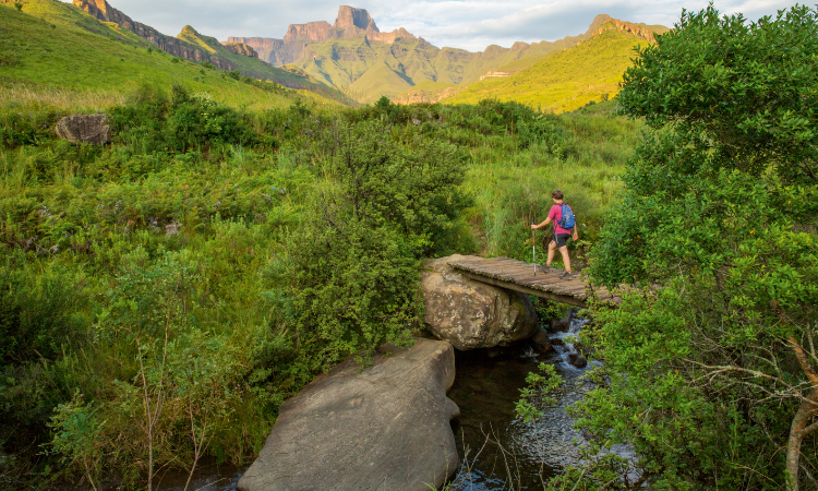 durban drakensberg tour