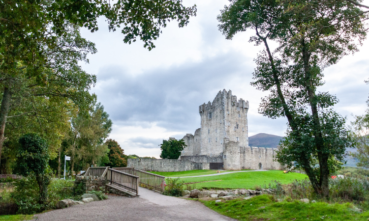 ring of kerry tour