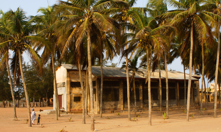 explore togo