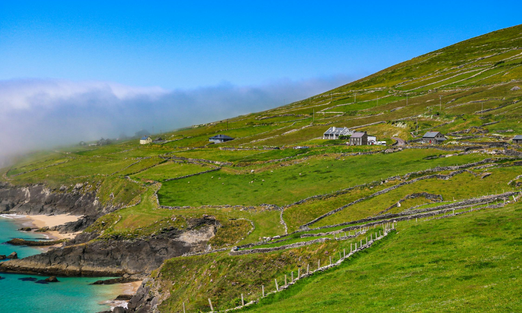 ring of kerry tour
