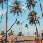 Top Places to Visit in Togo  