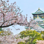 Discover Japan: The Best Time to Visit for an Epic Journey