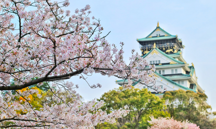 Discover Japan: The Best Time to Visit for an Epic Journey