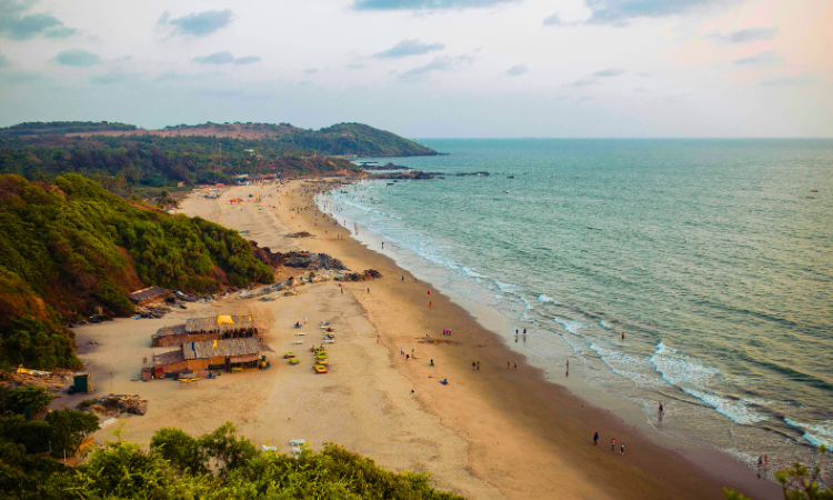 Things to Do in India