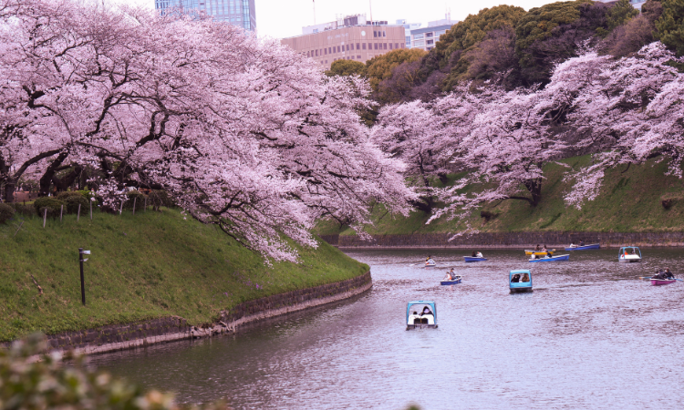 japan in april