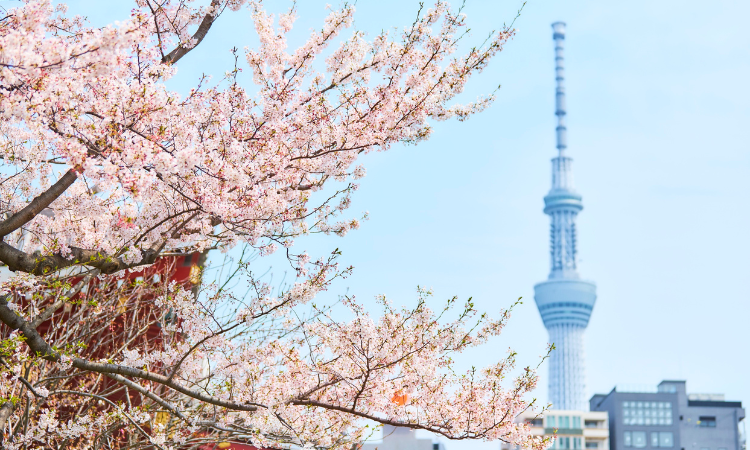 japan in april