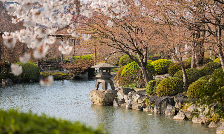 japan in april