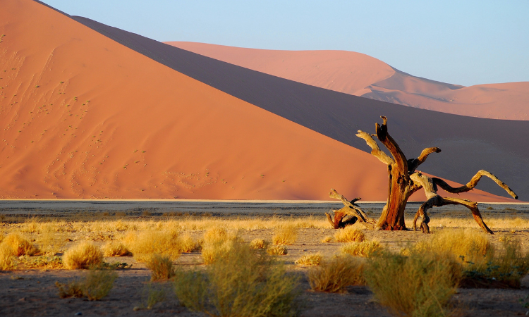 photography tour