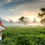 Photography Tour: Capture the World’s Most Stunning Landscapes