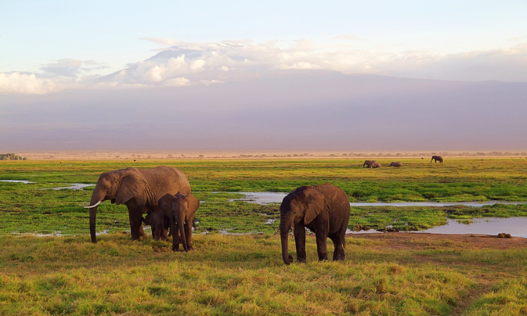 places to visit in kenya
