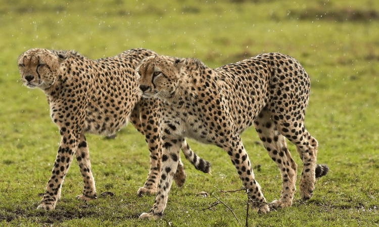 places to visit in kenya